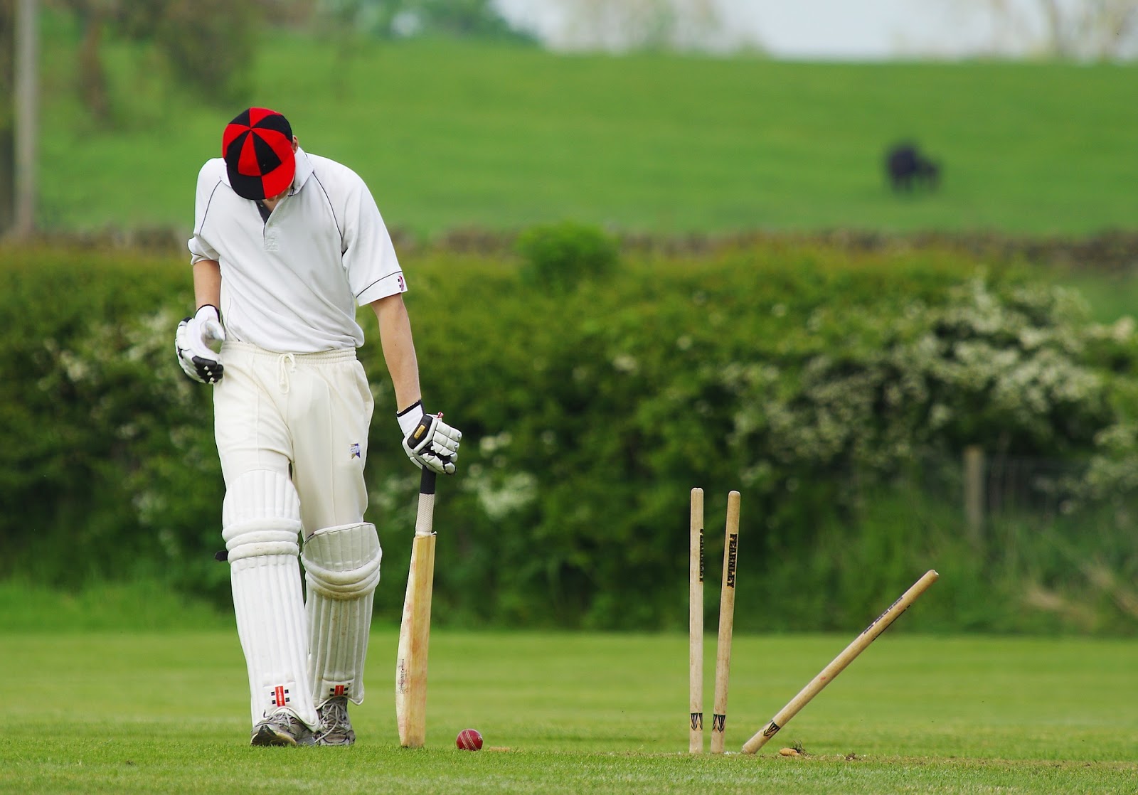 Types of Cricket Matches