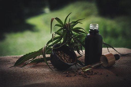 Healing Powers Of CBD Oil For Gut Health Image