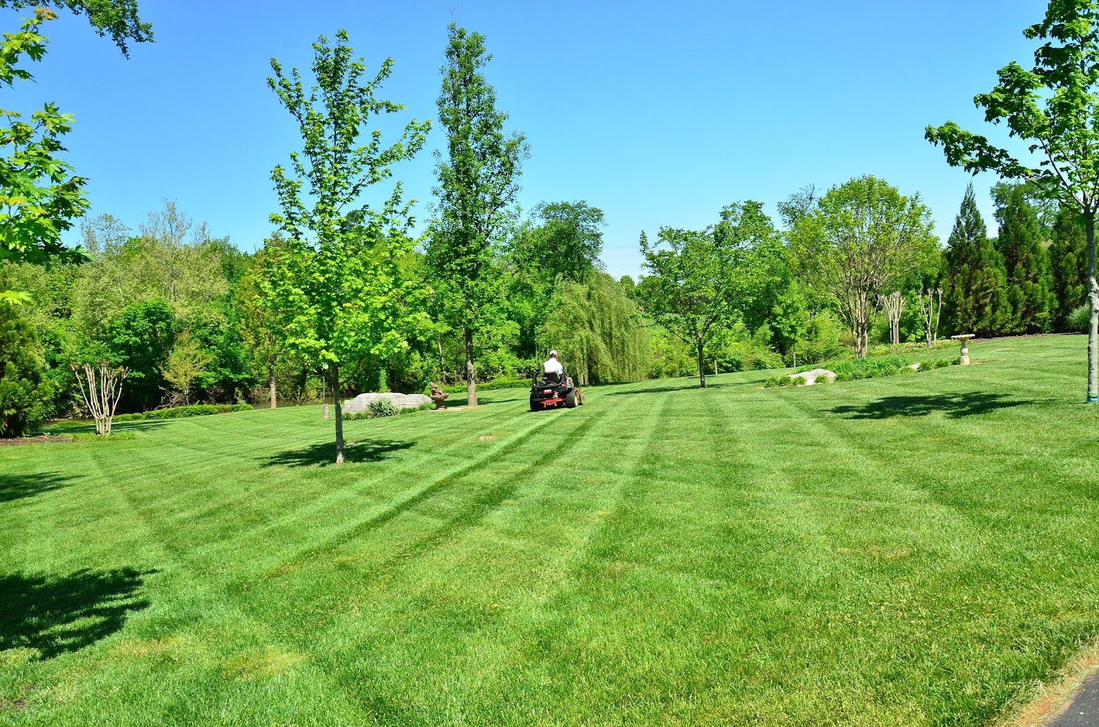 A Step By Step Guide To Proper Lawn Care