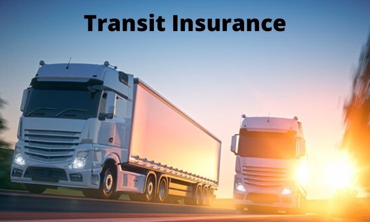 All You Need To Know While Buying A Transit Insurance Policy