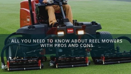 All You Need To Know About Reel Mowers With Pros And Cons