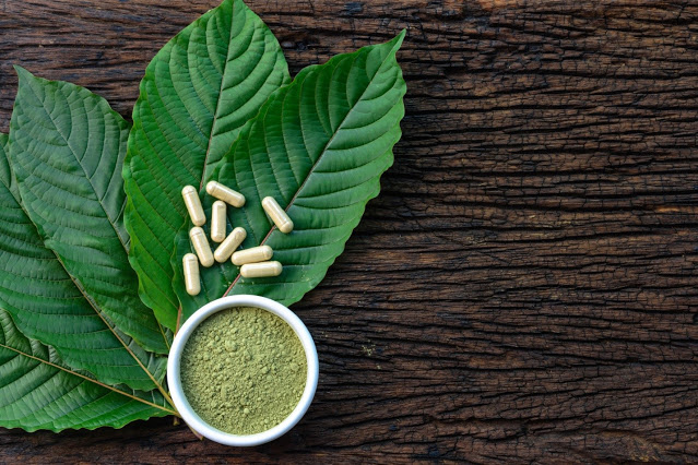 Kratom User Guide: How To Take Kratom The Right Way