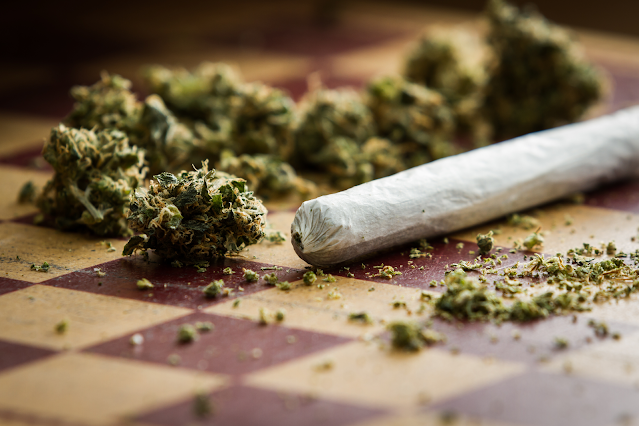 Understand Everything About Hemp Buds For Smoking