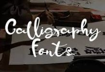 A Tale of Two Styles: Exploring the Elegance of Calligraphic Fonts and the Functionality of Text Fonts